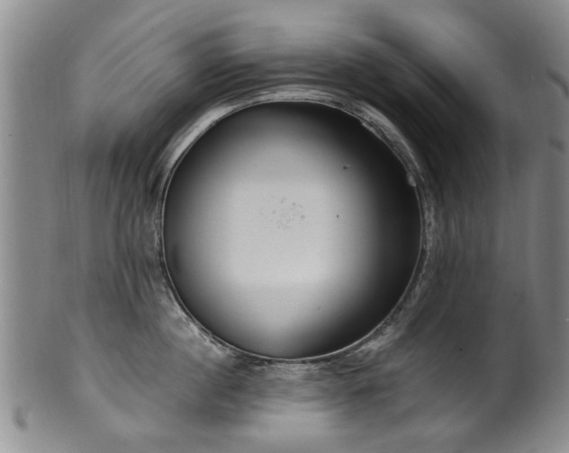 X0000100360860200806061136