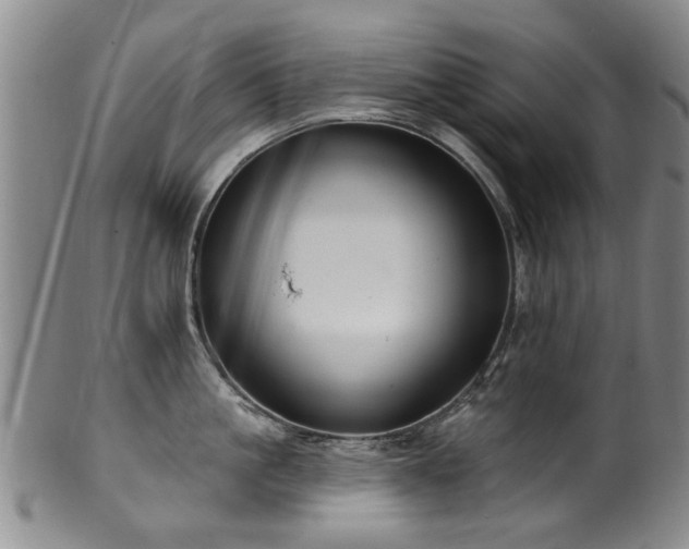 X0000100360861200806061136