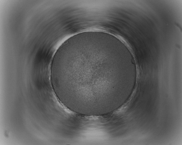 X0000100360862200806061136