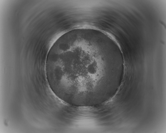 X0000100360863200806061136