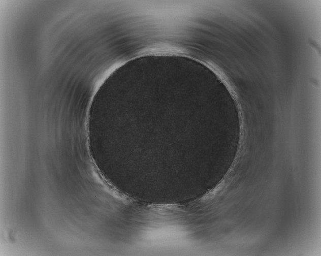 X0000100360864200806061136