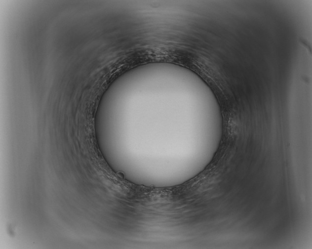 X0000100360865200806061136