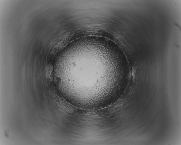 X0000100360867200806061136