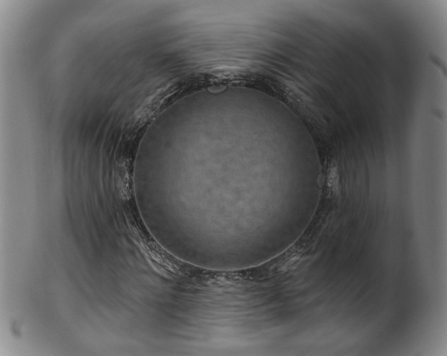 X0000100360868200806061136