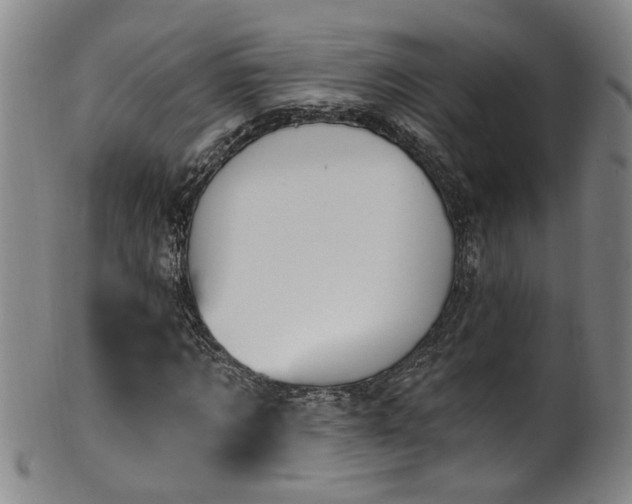 X0000100360869200806061136