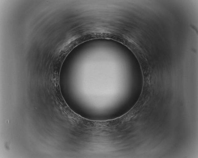 X0000100360870200806061136