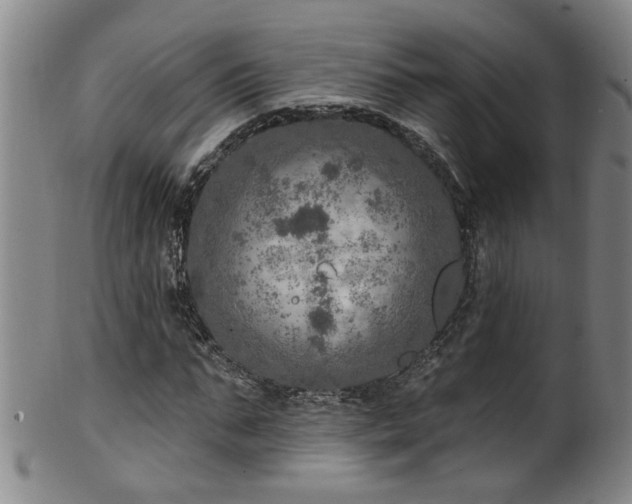 X0000100360871200806061136