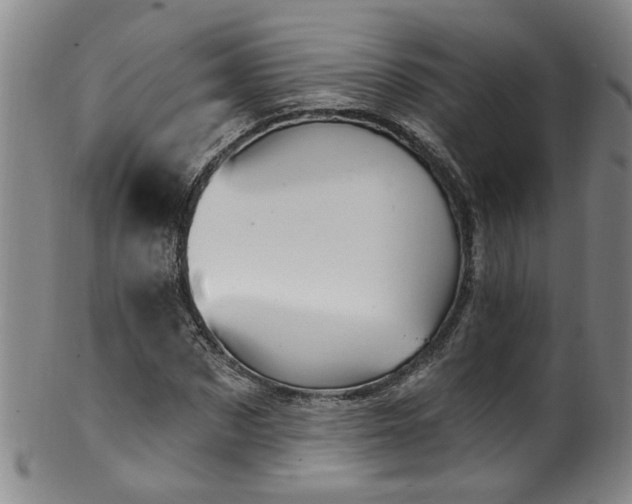 X0000100360873200806061136