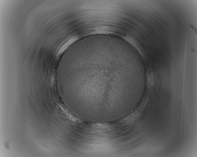 X0000100360874200806061136