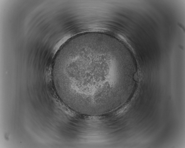 X0000100360875200806061136