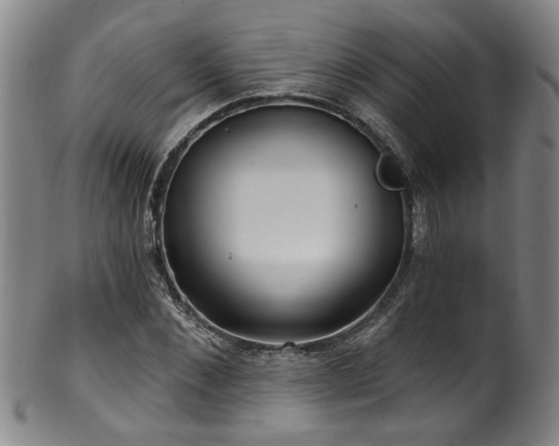 X0000100360876200806061135