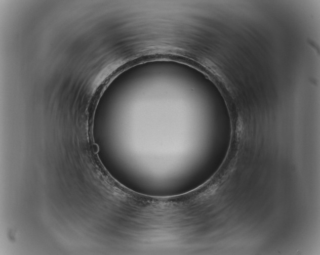 X0000100360877200806061135
