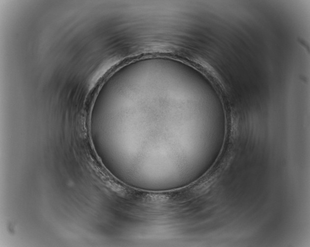 X0000100360878200806061135