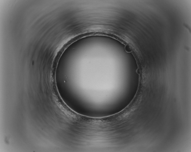 X0000100360880200806061135