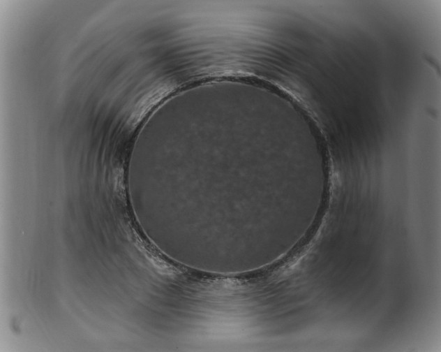 X0000100360881200806061135