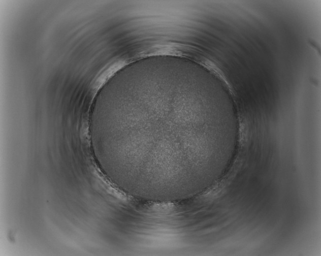 X0000100360882200806061135