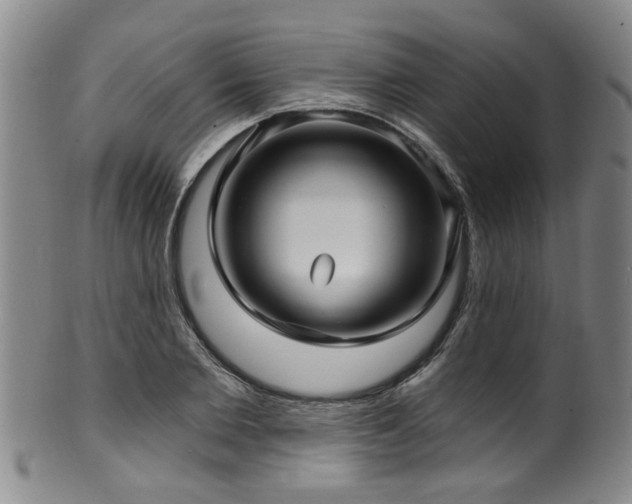 X0000100360885200806061135