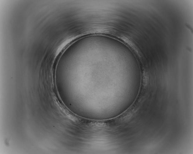 X0000100360886200806061135