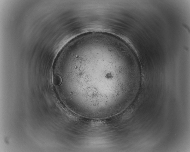 X0000100360887200806061135