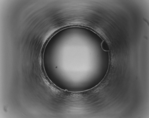 X0000100360888200806061135