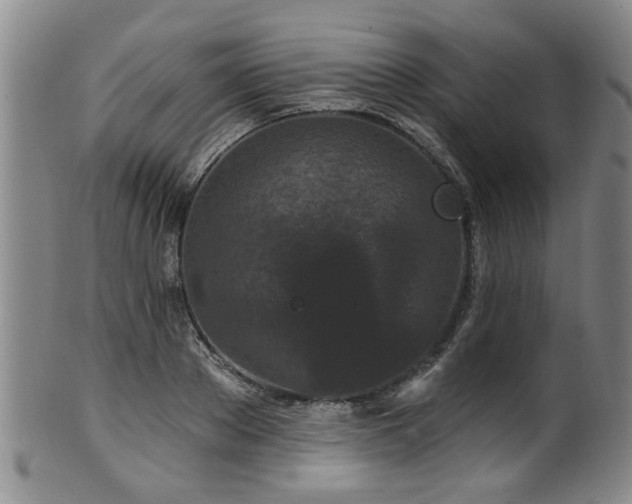 X0000100360889200806061135