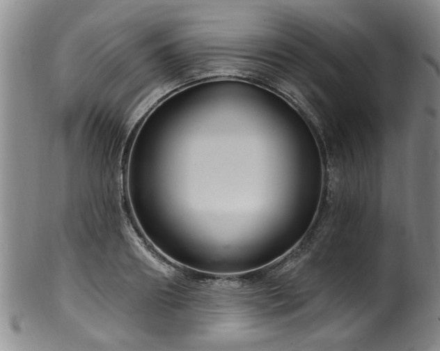 X0000100360890200806061135