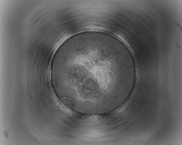 X0000100360891200806061135