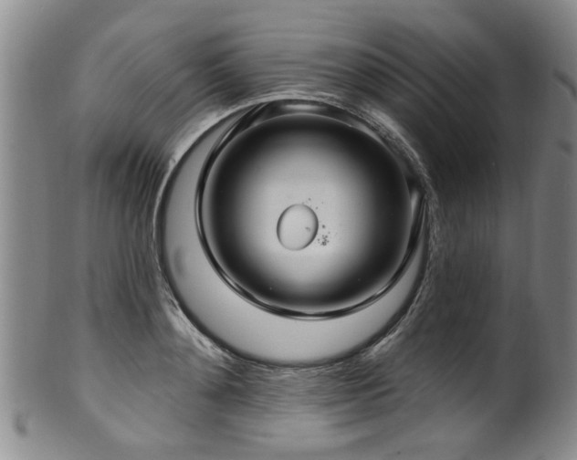 X0000100360892200806061135