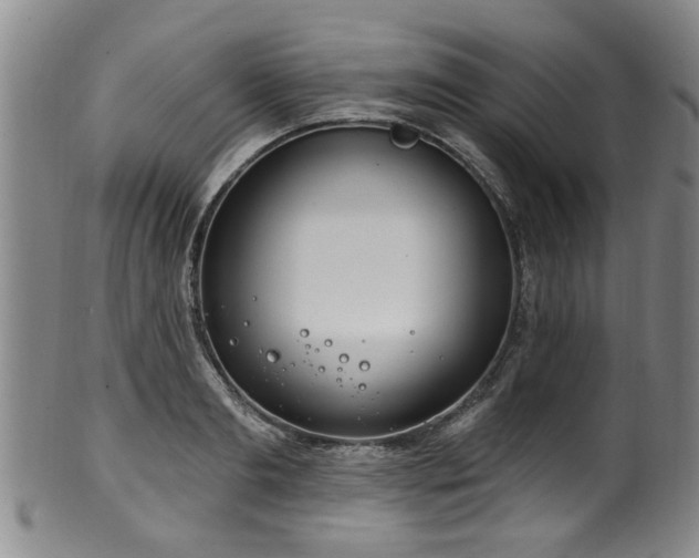 X0000100360893200806061135