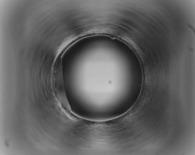 X0000100360894200806061135