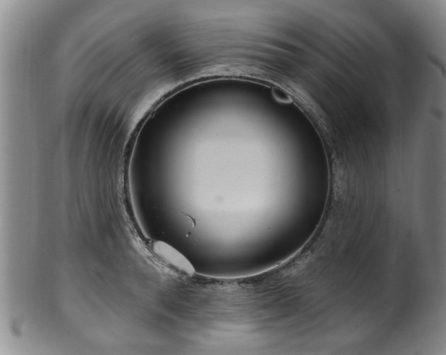 X0000100360896200806061135