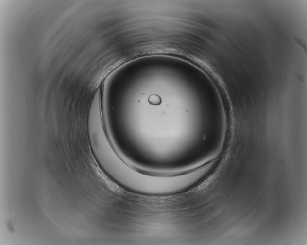 X0000100360897200806061135