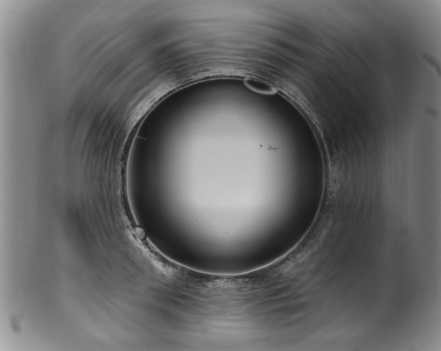 X0000100360898200806061135