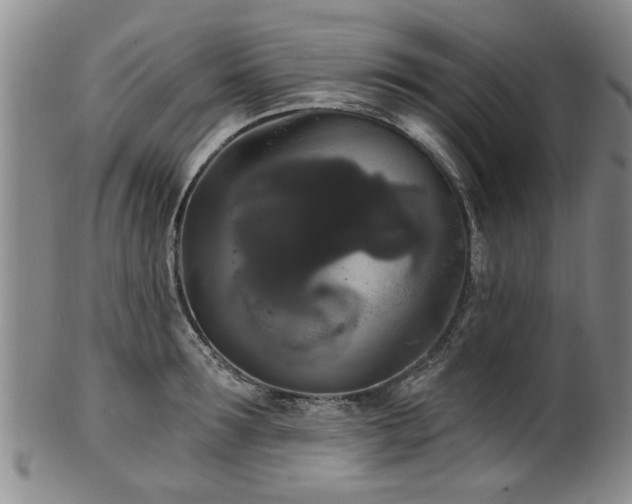 X0000100360899200806061135