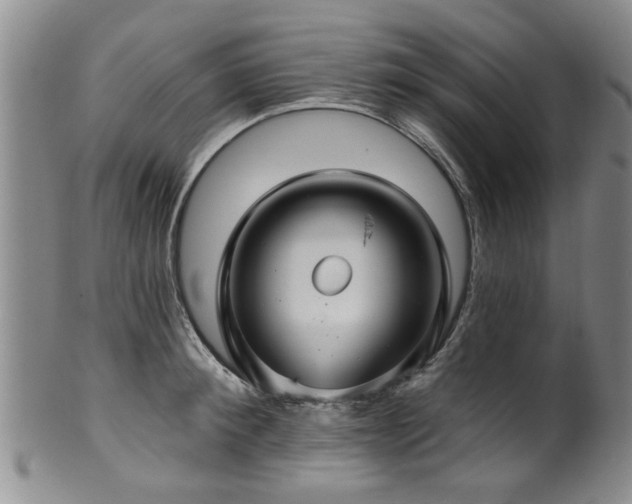 X0000100360900200806061135