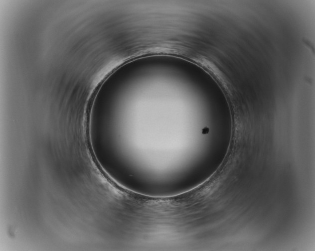 X0000100360902200806061135