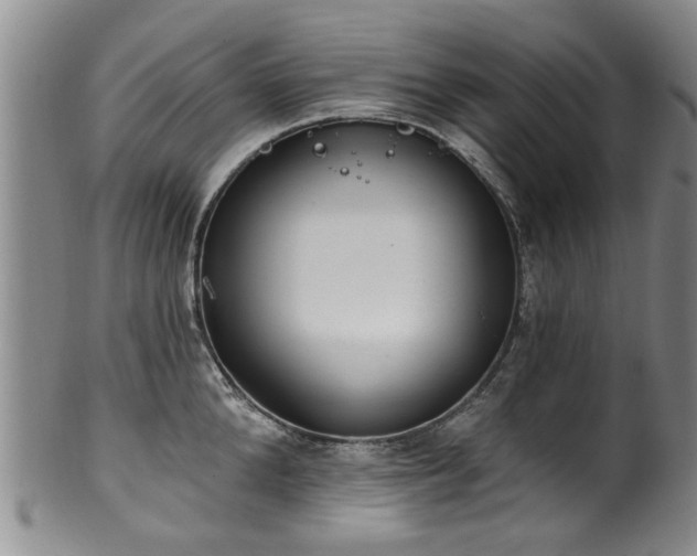 X0000100360904200806061135