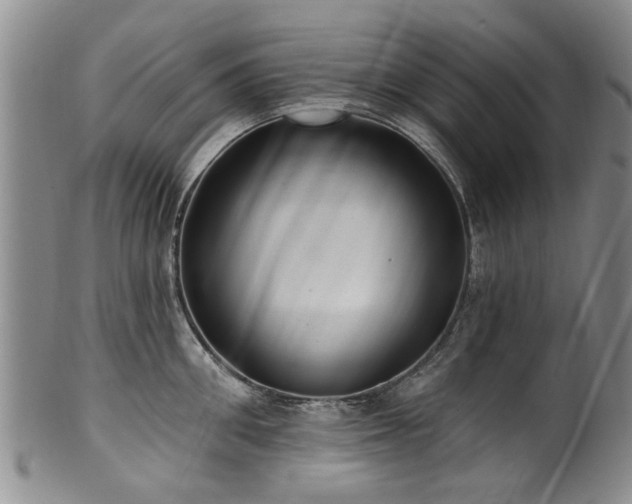 X0000100360906200806061135