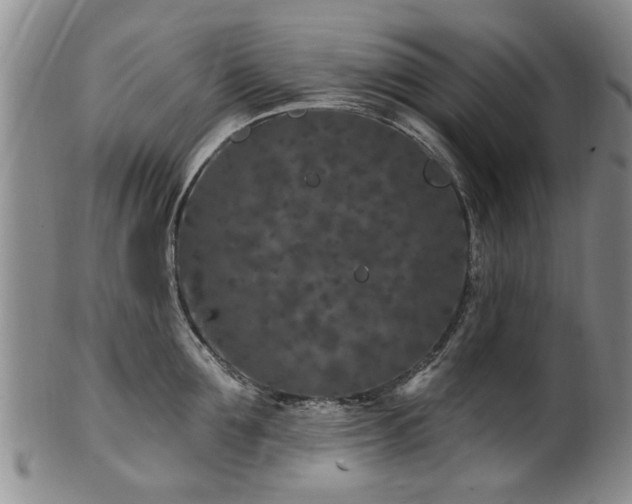 X0000100360907200806061135