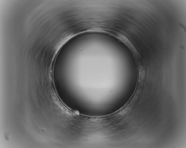 X0000100360908200806061135