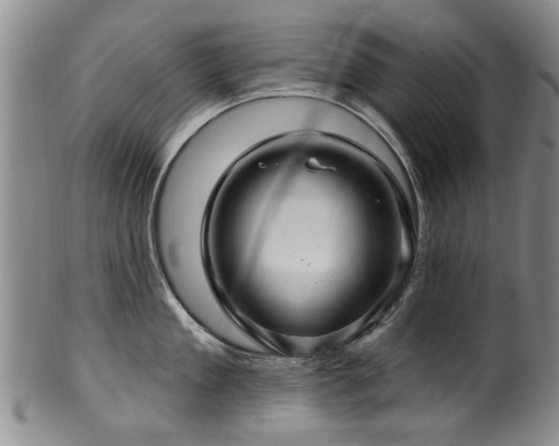 X0000100360909200806061135