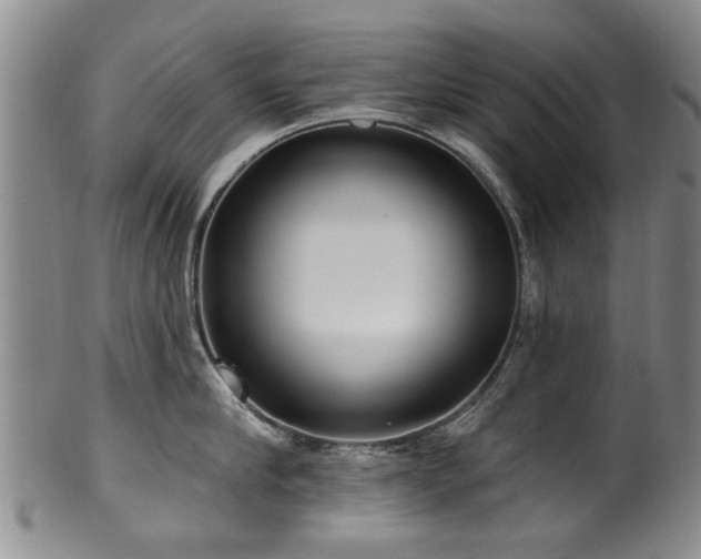 X0000100360910200806061135