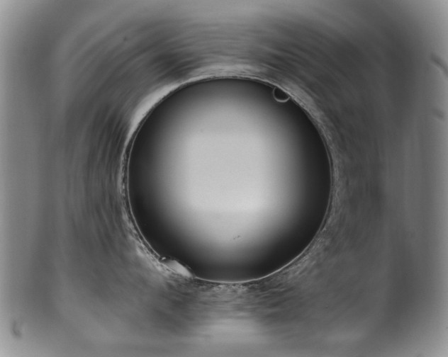 X0000100360912200806061135