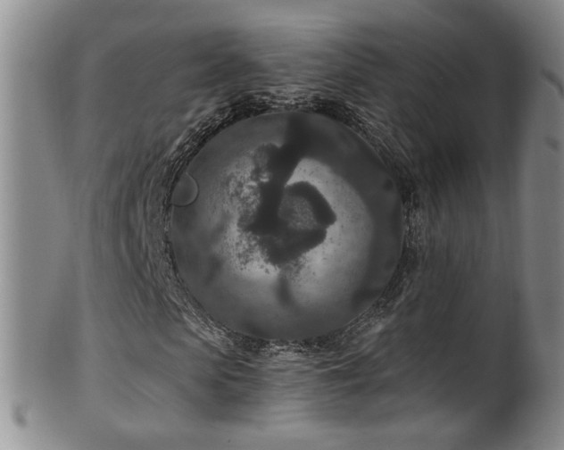 X0000100360913200806061134