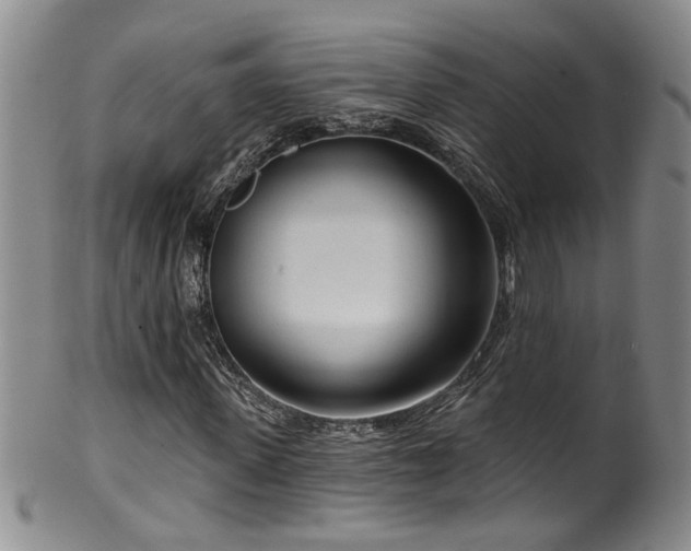 X0000100360915200806061134