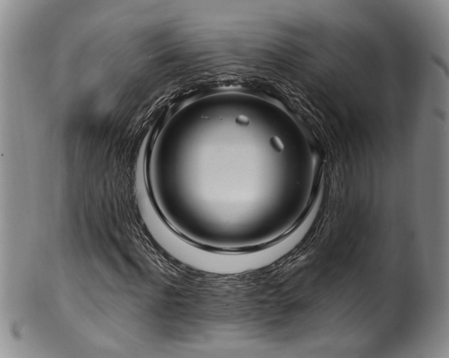 X0000100360916200806061134