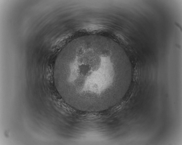 X0000100360917200806061134