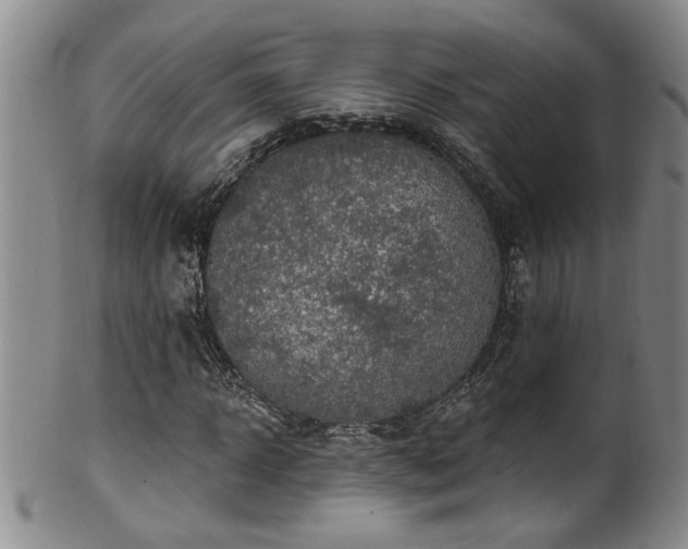 X0000100360918200806061134