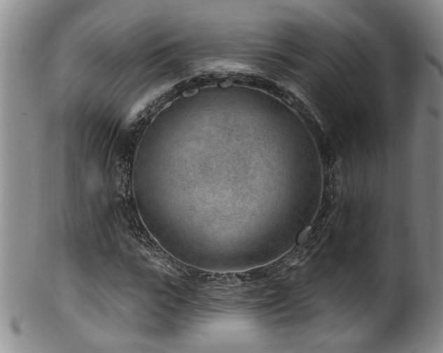 X0000100360919200806061134