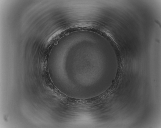 X0000100360920200806061134